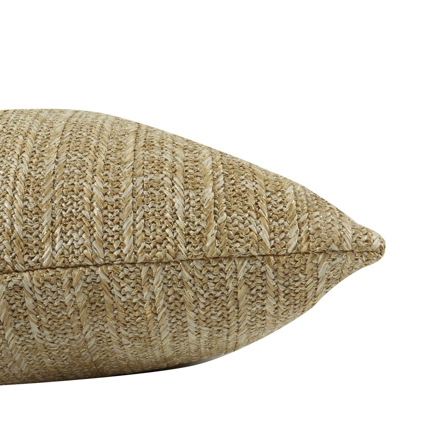 Outdoor/Indoor Decorative Set of 2 Throw Pillows with Inserts