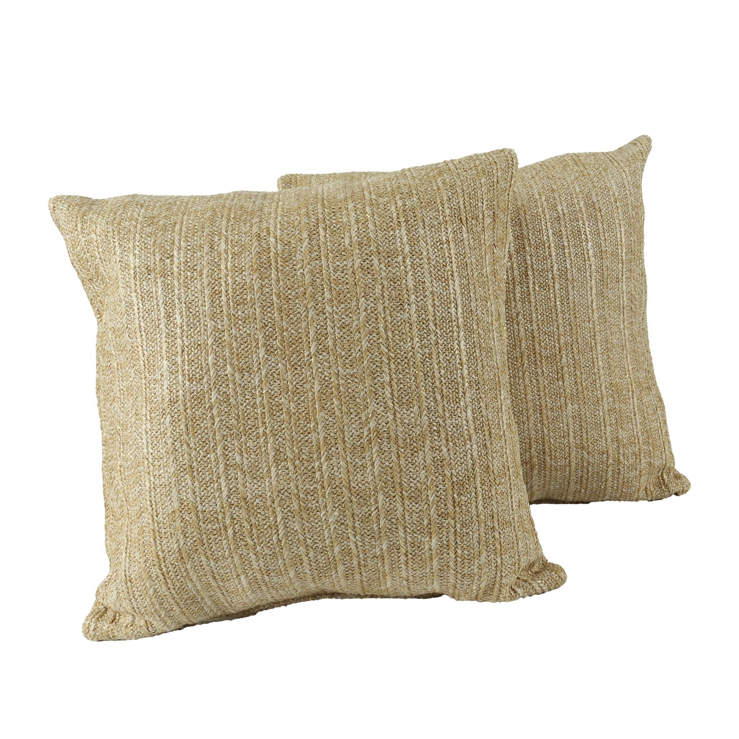 Outdoor/Indoor Decorative Set of 2 Throw Pillows with Inserts