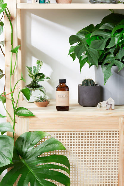 Organic Natural Aged After Shave / Cologne
