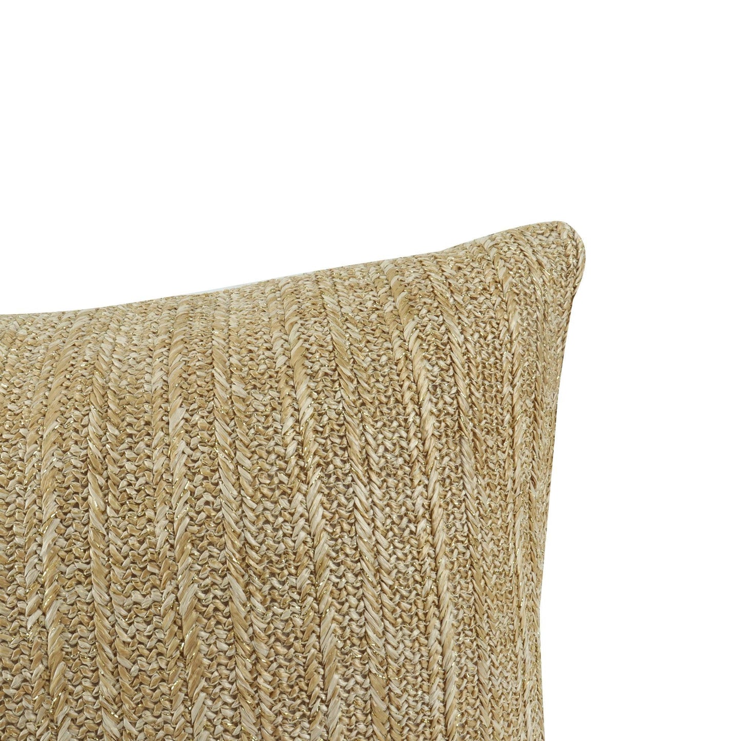 Outdoor/Indoor Decorative Set of 2 Throw Pillows with Inserts